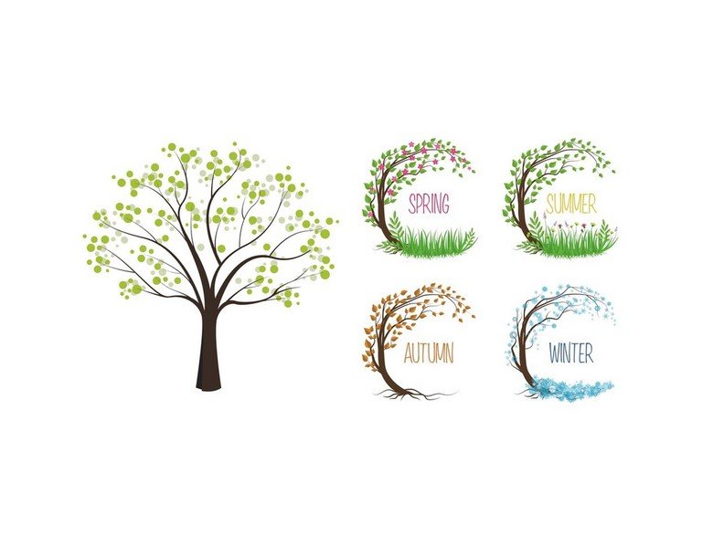 阳光有什么用？