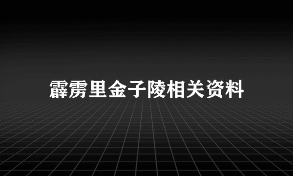 霹雳里金子陵相关资料