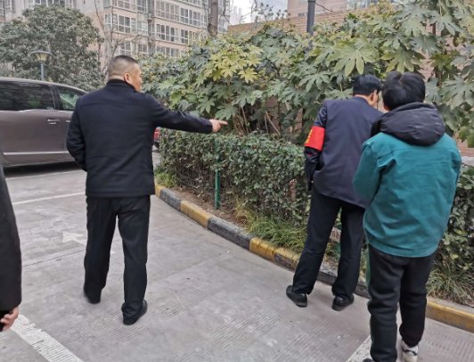 重庆一小区多只宠物狗蹊跷死亡，物业：已报警，物业该不该承担责任呢？