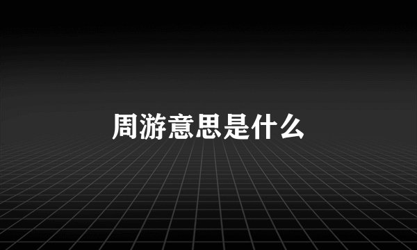周游意思是什么