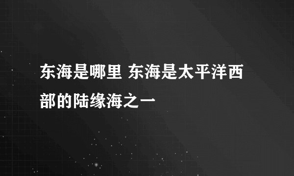东海是哪里 东海是太平洋西部的陆缘海之一