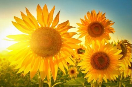 年年有风，风吹年年，慢慢即漫漫。什么意思？