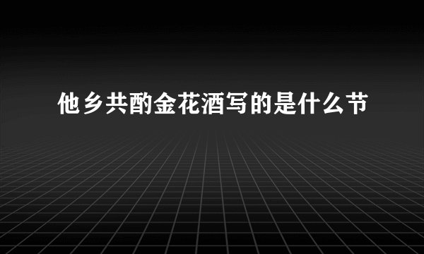 他乡共酌金花酒写的是什么节