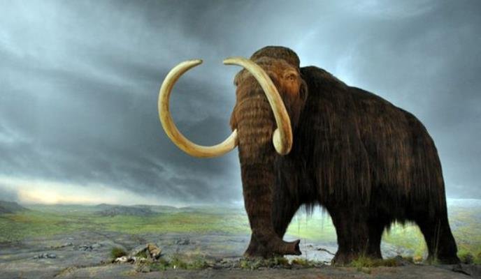 美国海军上将组织的地心探险队有什么惊人的发现？