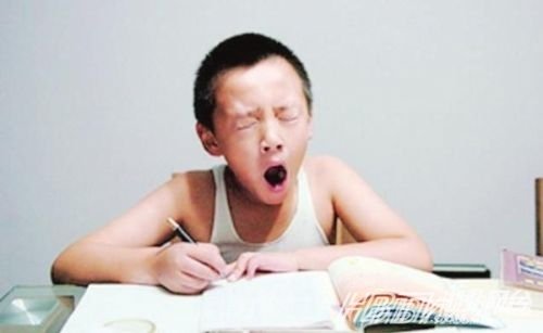 幼儿园简历秒杀白领的现象反思