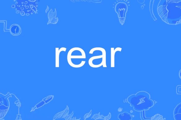 rear是什么意思
