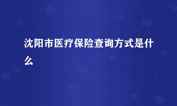 沈阳市医疗保险查询方式是什么