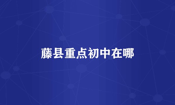 藤县重点初中在哪