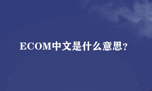 ECOM中文是什么意思？