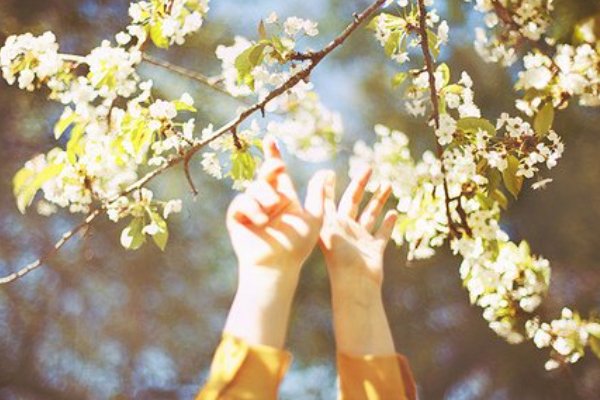 2021年高考满分作文