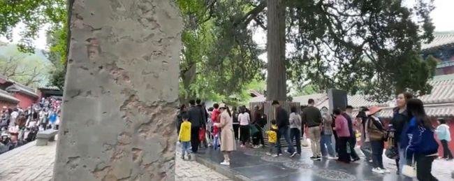 少林寺500多年古碑遭熊孩子刻画,文明出行何其难?