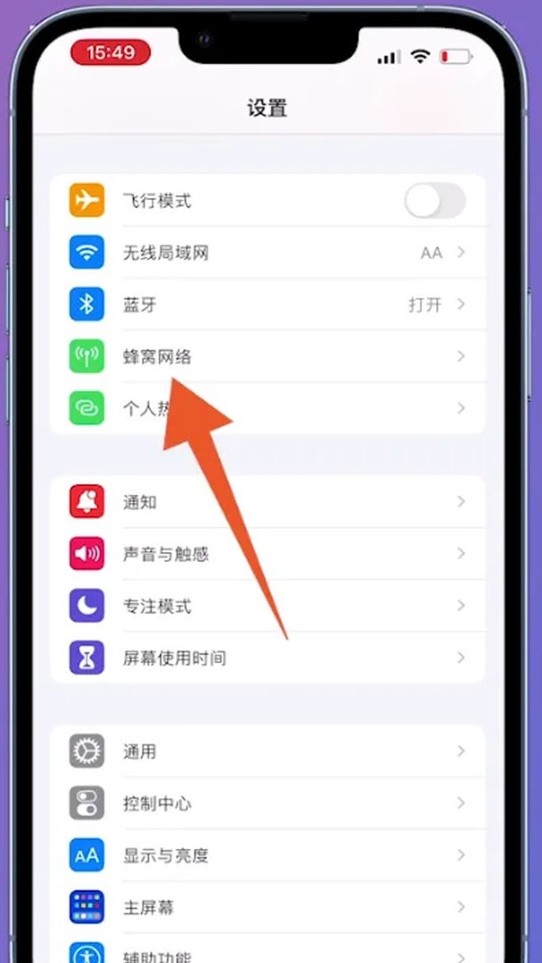 苹果怎么限制流量的使用呢？