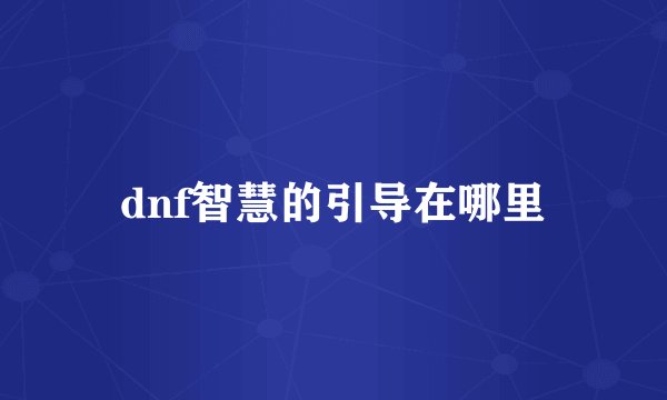 dnf智慧的引导在哪里