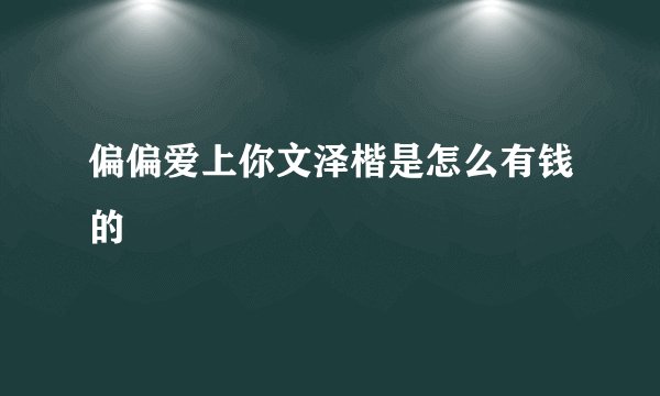 偏偏爱上你文泽楷是怎么有钱的