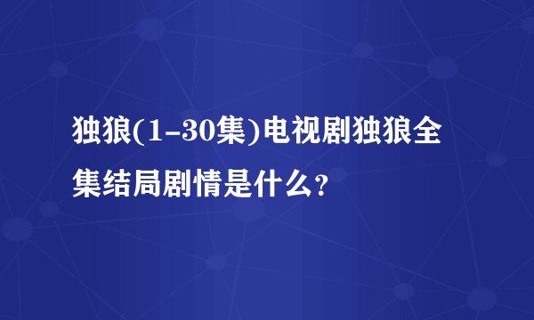 独狼(1-30集)电视剧独狼全集结局剧情是什么？