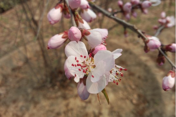 今天打春几点打春2023