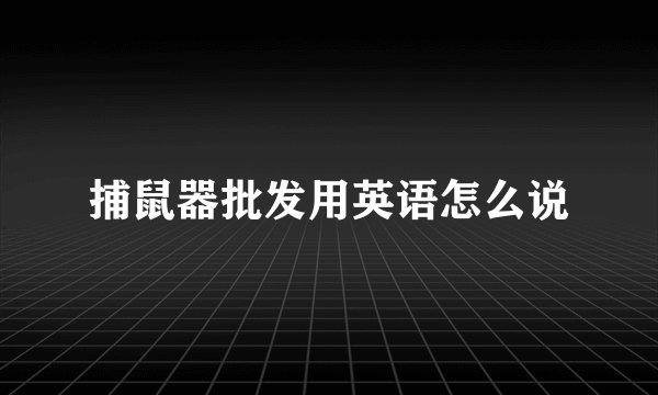 捕鼠器批发用英语怎么说