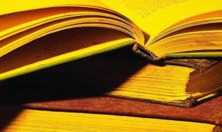 风物长宜放眼量的意思是什么 风物长宜放眼量解释