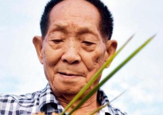 袁隆平的外貌描写有哪些？