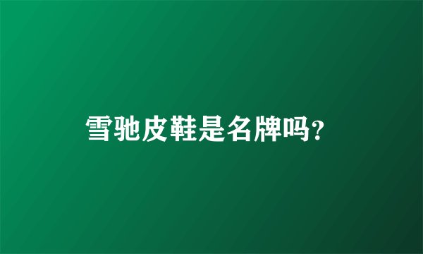 雪驰皮鞋是名牌吗？