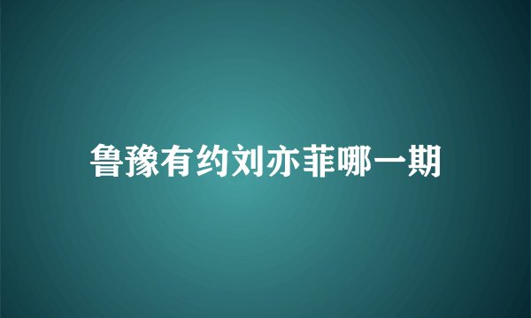 鲁豫有约刘亦菲哪一期