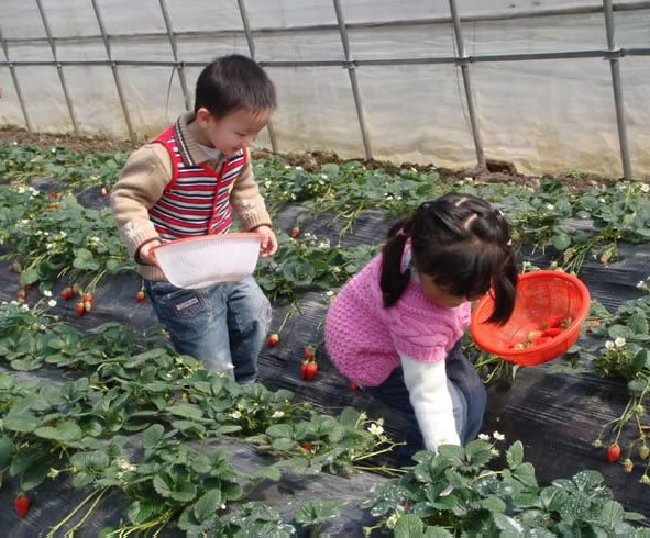 常乐源开心农场的简介