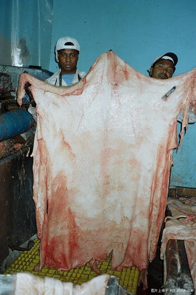 漆皮的包包要怎么洗？