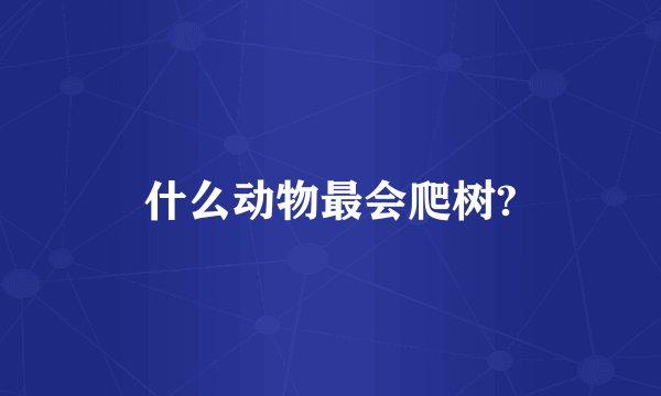 什么动物最会爬树?