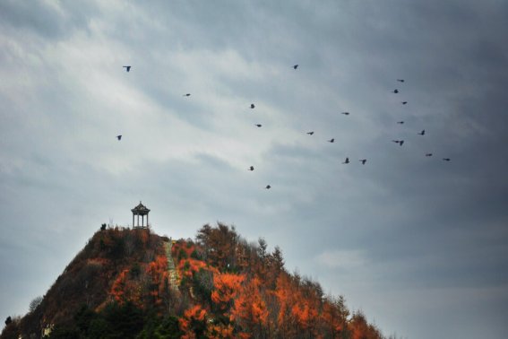 独坐敬亭山古诗写作背景