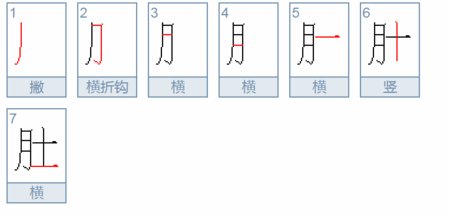 肚的笔顺笔画怎么写