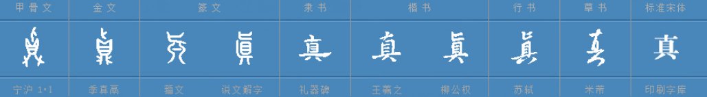 真字结构是啥样的？