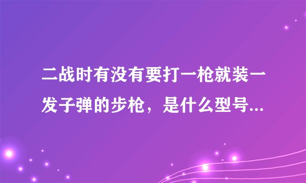 二战时有没有要打一枪就装一发子弹的步枪，是什么型号，那个国家生产的？
