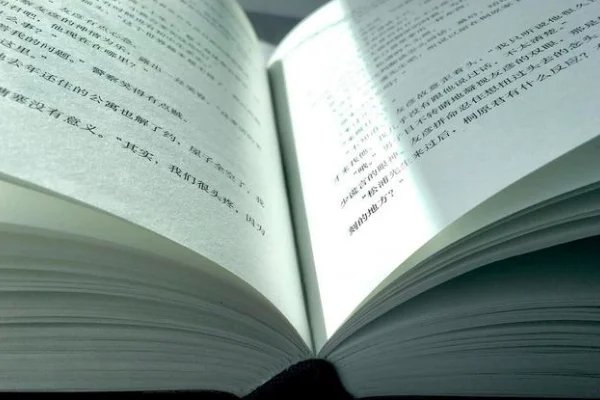 六年级三黑和土地课文笔记