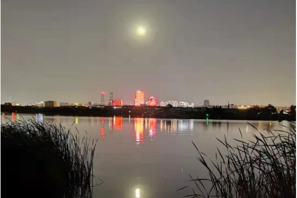 四年级上仿写月下的情景200字怎么写?