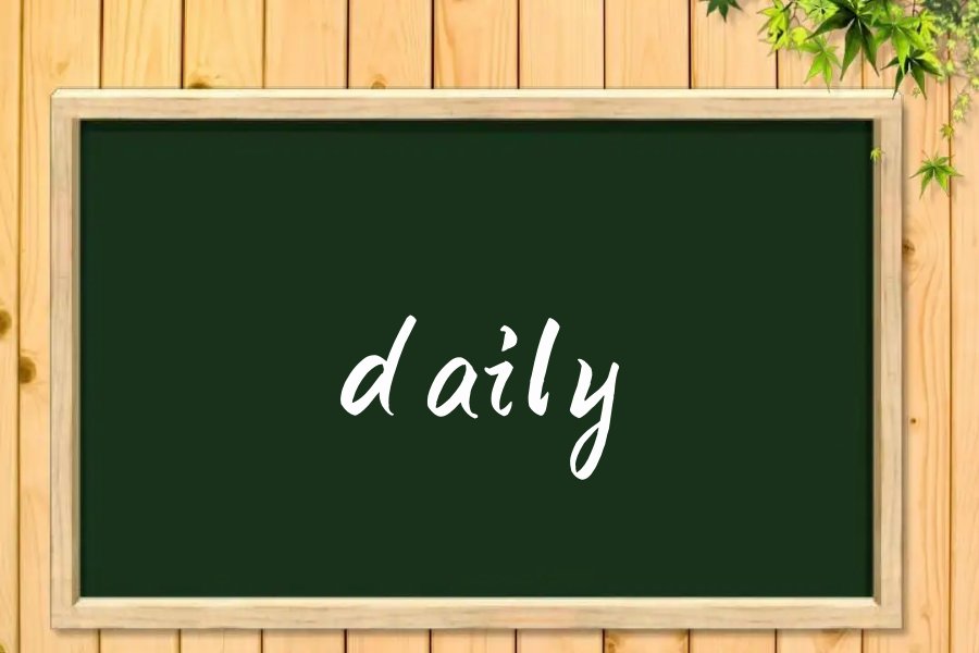 daily怎么读