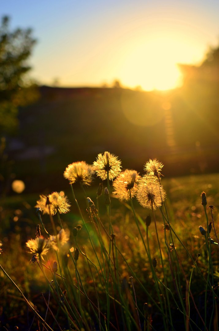求这几张ipadmini4尺寸壁纸超清图。