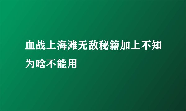 血战上海滩无敌秘籍加上不知为啥不能用