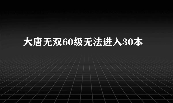 大唐无双60级无法进入30本