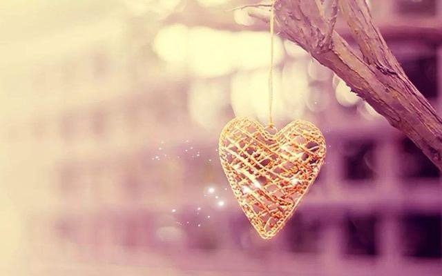 勤奋是什么意思啊？