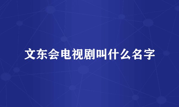 文东会电视剧叫什么名字