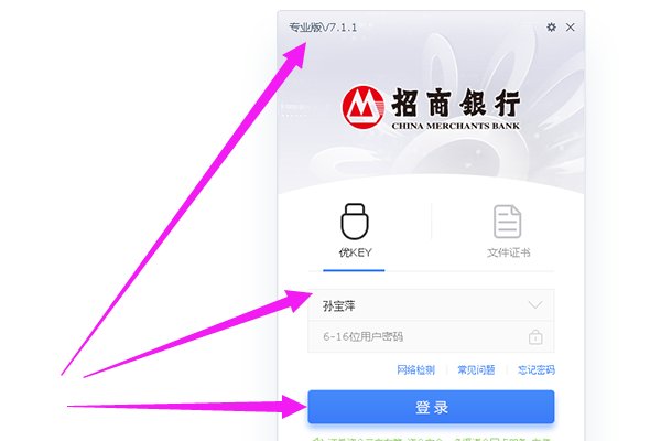 招商银行专业版怎么登陆？