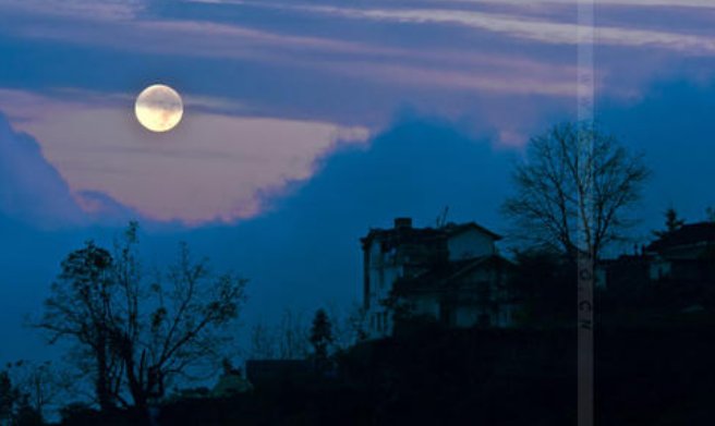 《月夜》表达了作者怎样的感情？