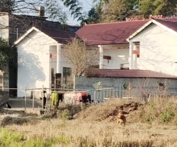 女子变阳后开启荒野隔离，在田里打地铺，如何看待该女子的做法呢？