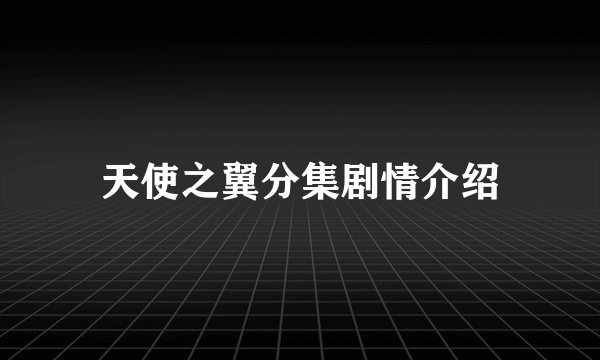 天使之翼分集剧情介绍