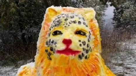 云南四人用时2小时堆出金钱豹雪人，赢得网友怎样的赞许？