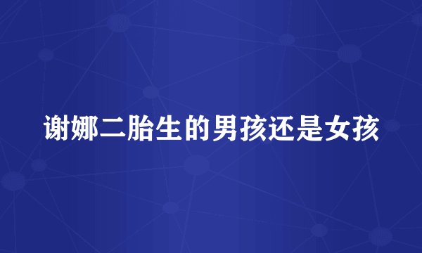 谢娜二胎生的男孩还是女孩