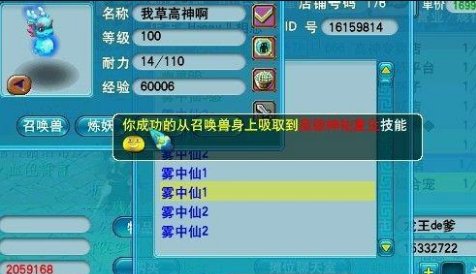 吸附石吸附技巧