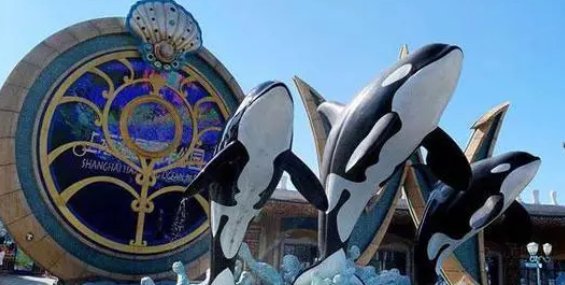 上海海昌海洋公园将免费开放8天,为何会这么规定?