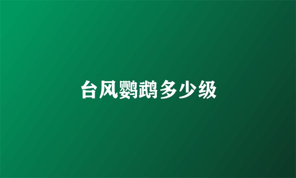 台风鹦鹉多少级