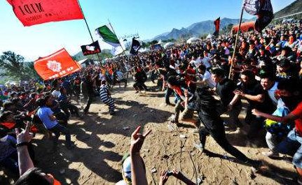 pogo是什么意思啊?